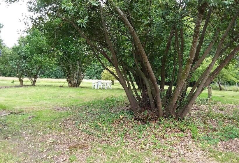 פנסיון Maison D Hôtes Labastide