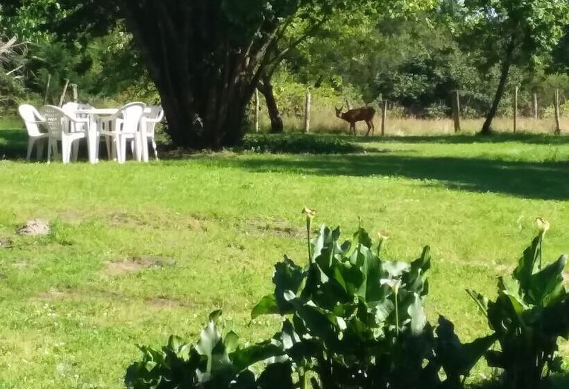 פנסיון Maison D Hôtes Labastide