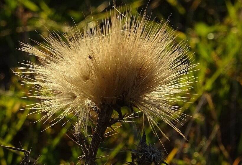 膳宿费 Monte Do Alento Castro Da Cola