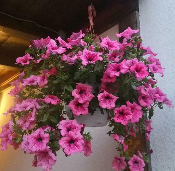 ペンション Plitvice Mountain Spring