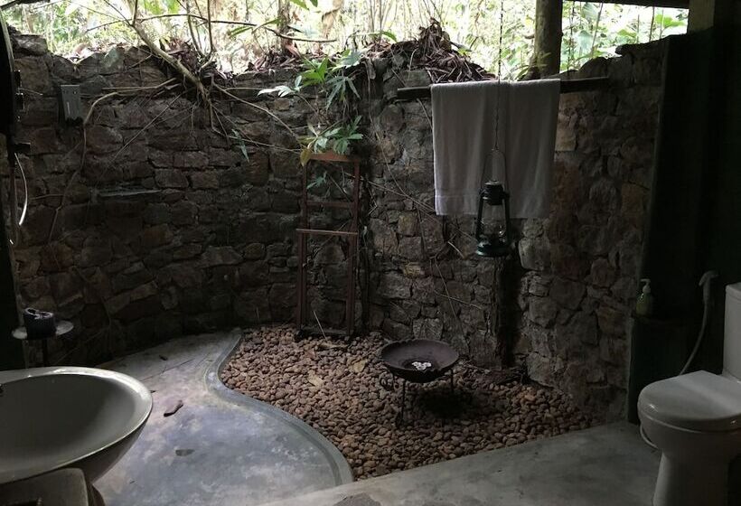 بنسيون Rambas Reserve