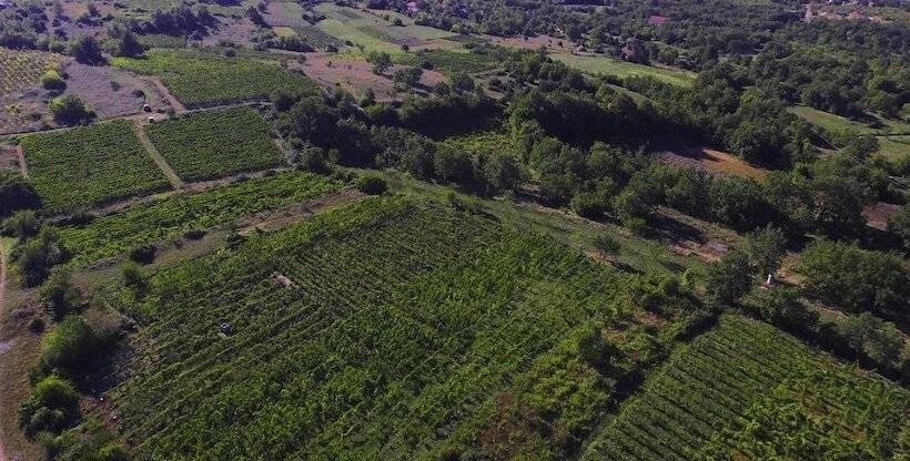 بنسيون Rooms Marijana