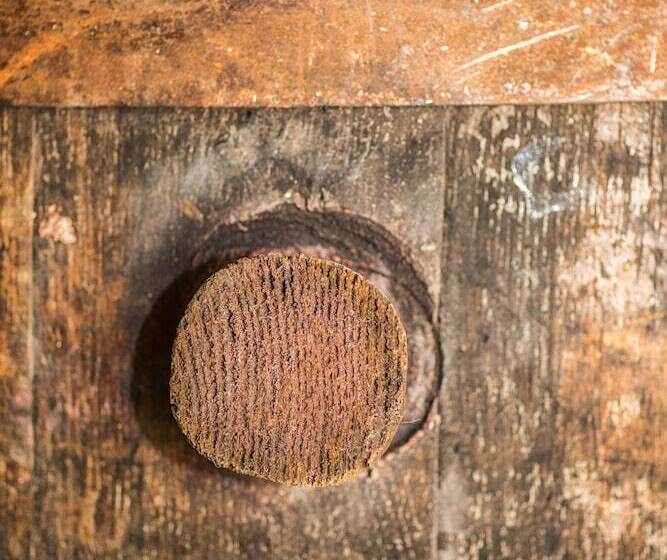 بنسيون Rooms Marijana