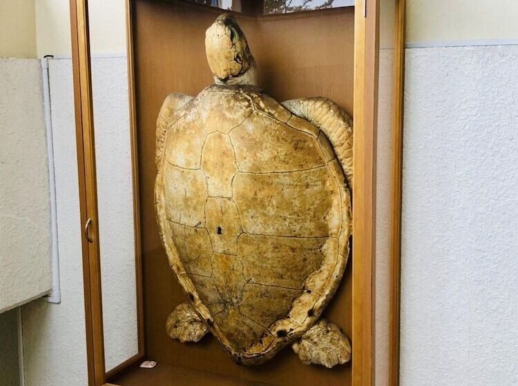 بنسيون Takamasu Minshuku