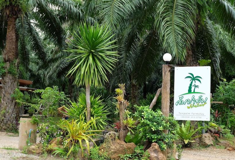 膳宿费 Tonpalm Farmstay