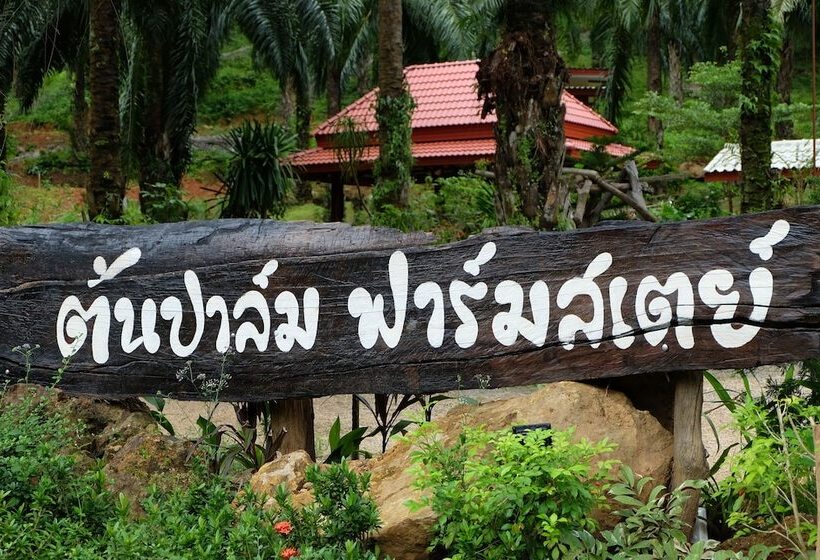 膳宿费 Tonpalm Farmstay