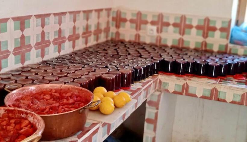 پانسیون Touda Ecolodge Atlas Mountains