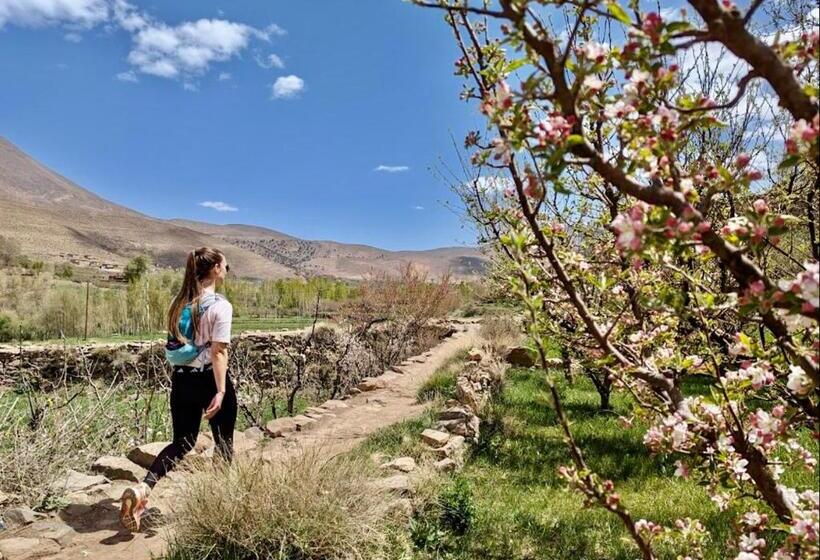 پانسیون Touda Ecolodge Atlas Mountains