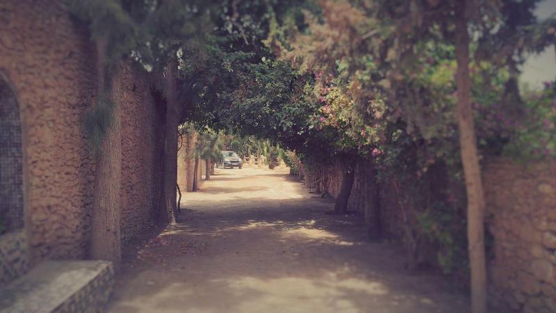 膳宿费 Villa Du Souss Eco Lodge