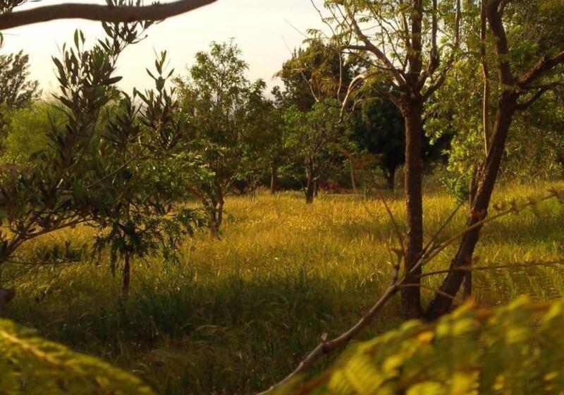 膳宿费 Villa Du Souss Eco Lodge