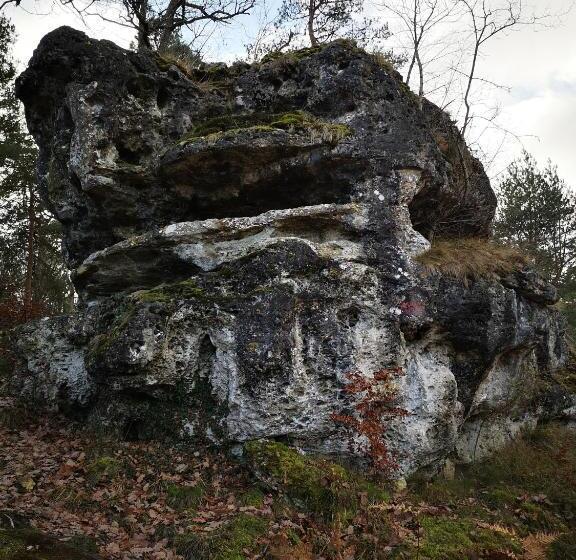 פנסיון Villa Le Cloky