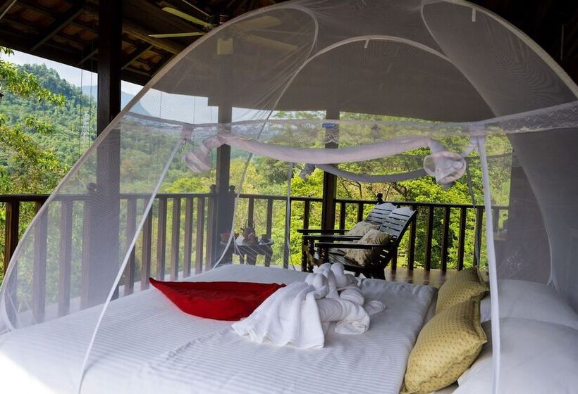 פנסיון Wanakaset