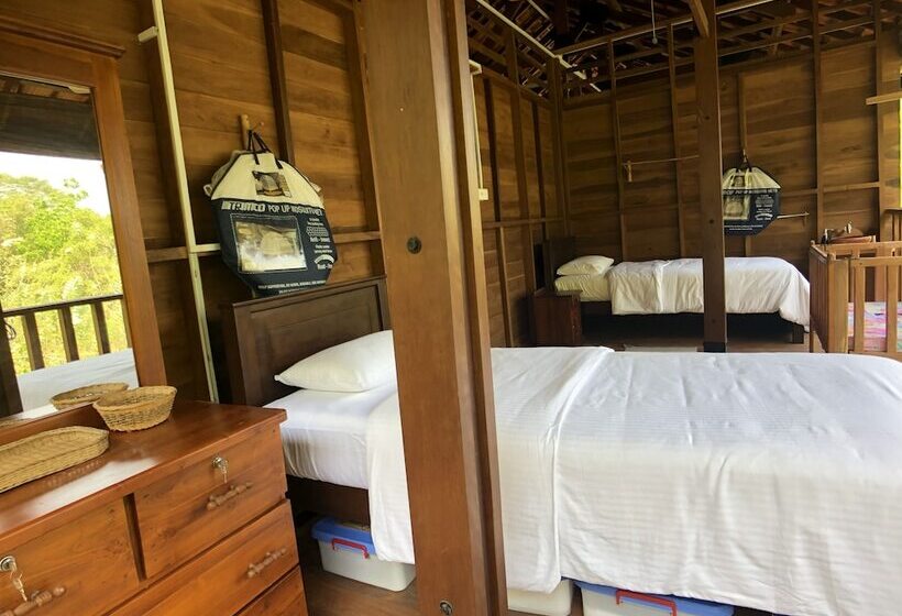 פנסיון Wanakaset