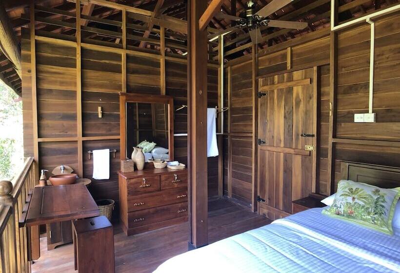 פנסיון Wanakaset