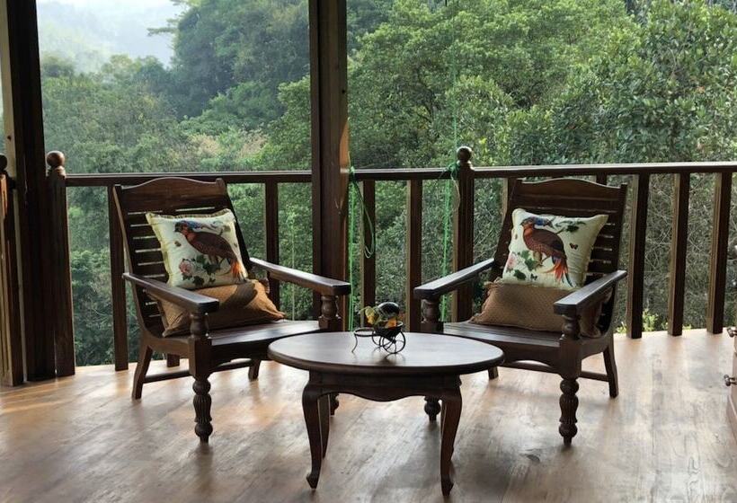 פנסיון Wanakaset