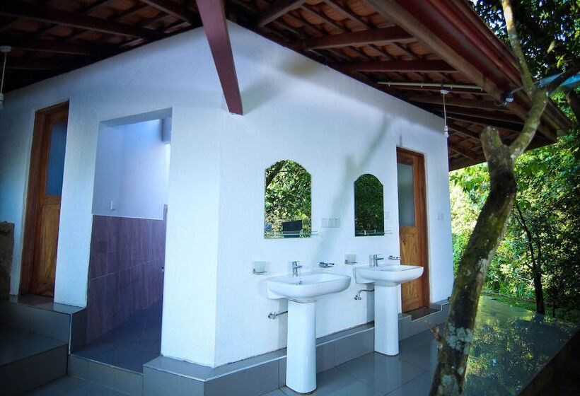 פנסיון Wanakaset