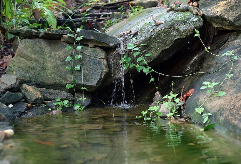 פנסיון Wanakaset