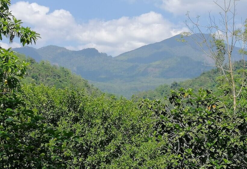 פנסיון Wanakaset