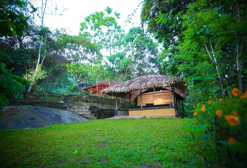 פנסיון Wanakaset