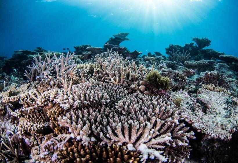 פנסיון Zerogravity Seisui Villa