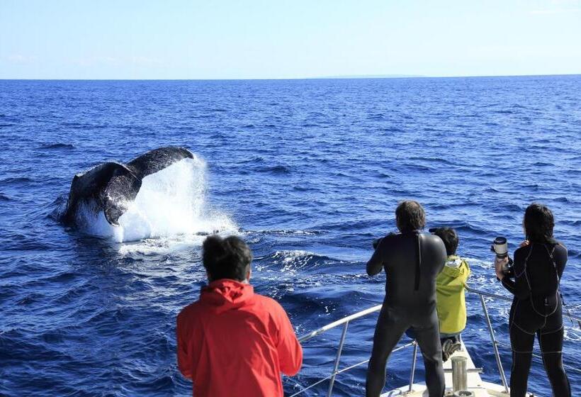 פנסיון Zerogravity Seisui Villa