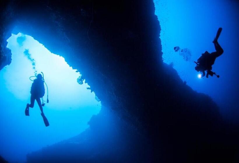 פנסיון Zerogravity Seisui Villa