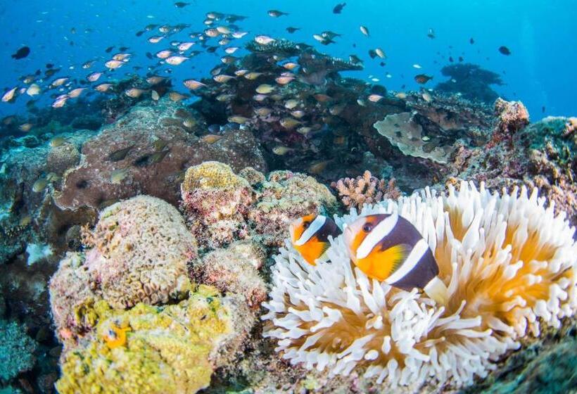 פנסיון Zerogravity Seisui Villa