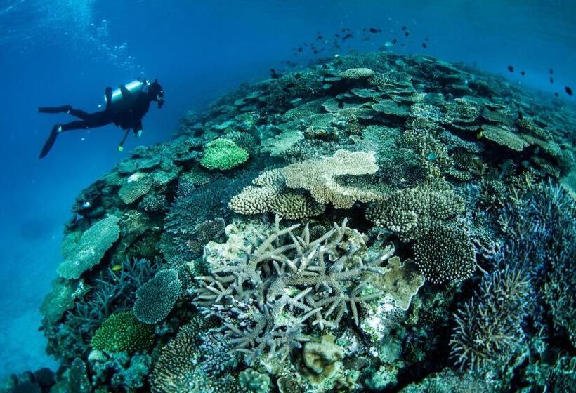 פנסיון Zerogravity Seisui Villa