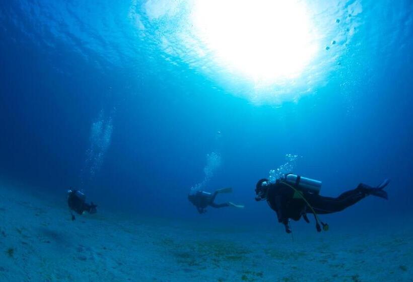 פנסיון Zerogravity Seisui Villa