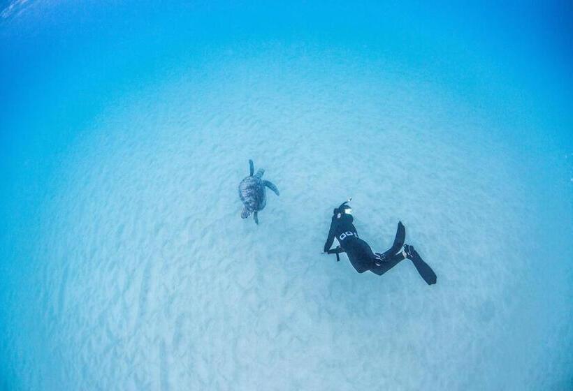 פנסיון Zerogravity Seisui Villa