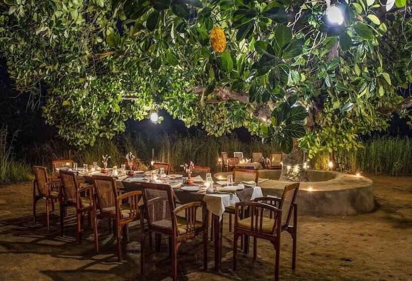 אתר נופש Camp Dev Vilas Kanha