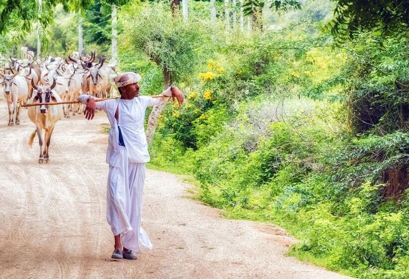 منتجع Varawal Jawai Leopard Safari Camp