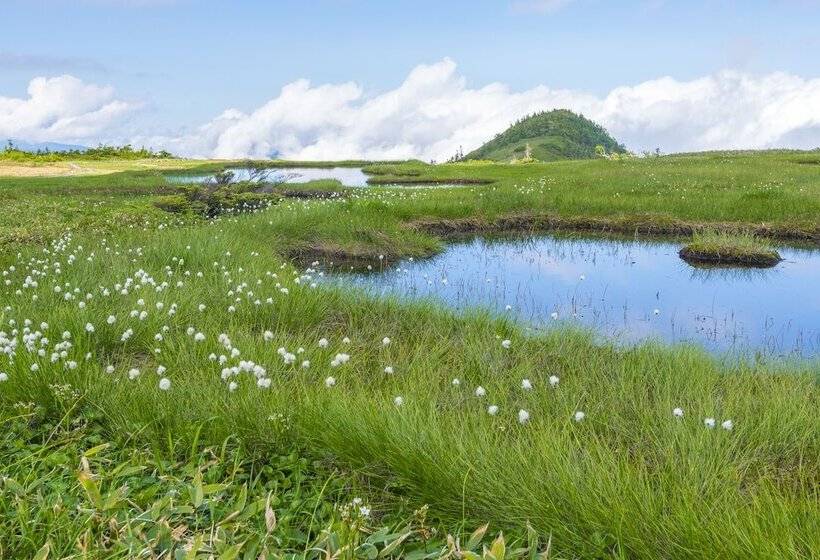 ריוקאן Yusenkaku