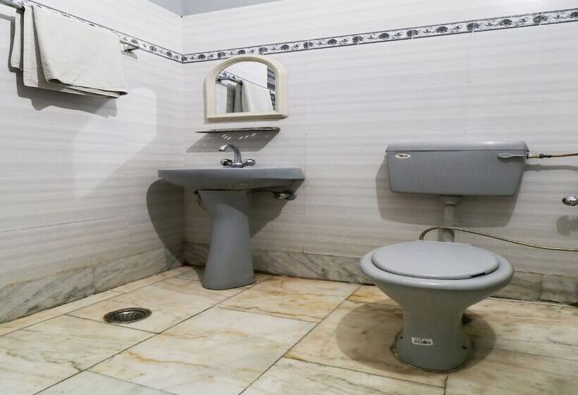 Spot On 46852 Hotel Pal Regency