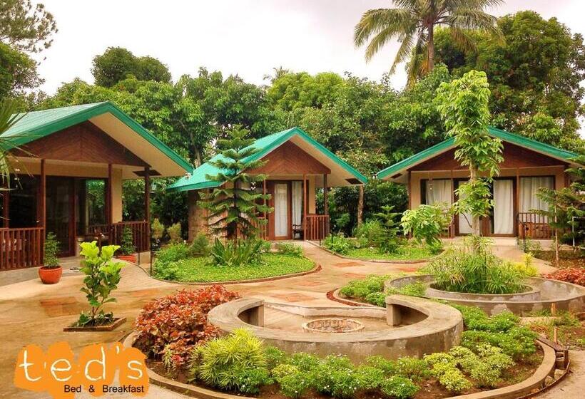 Ted S Bed And Breakfast