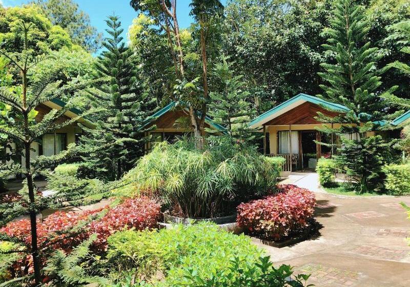 Ted S Bed And Breakfast