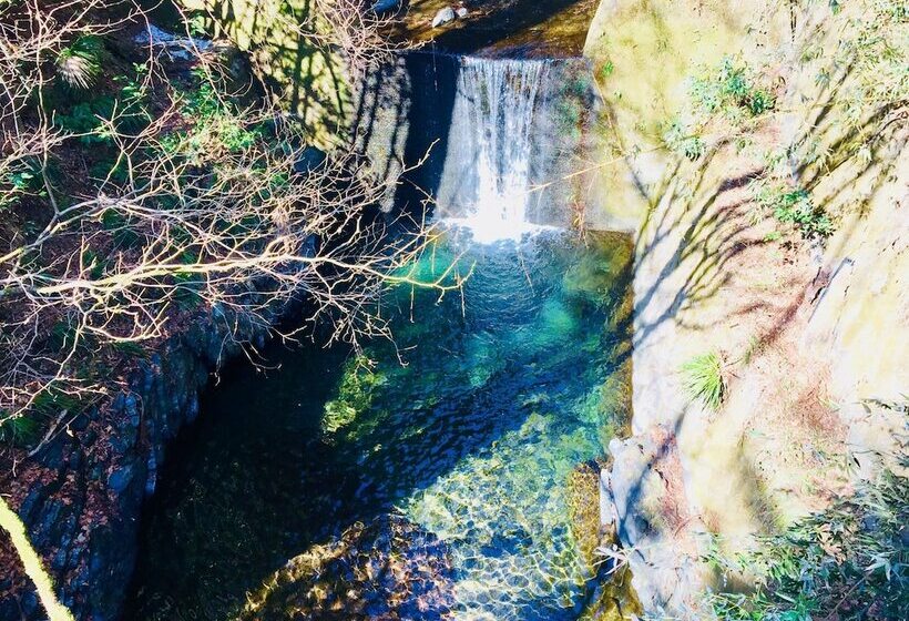 Vanguard Backpackers   Hostel