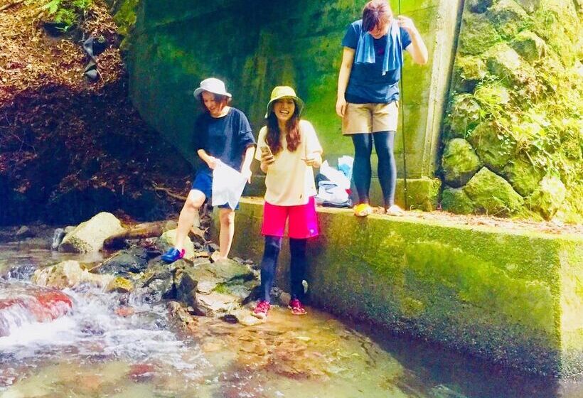 Vanguard Backpackers   Hostel