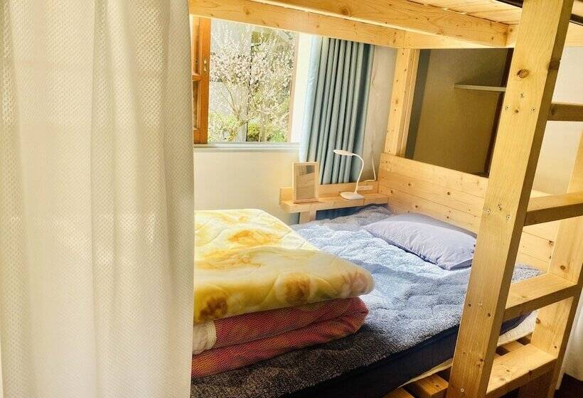 Vanguard Backpackers   Hostel