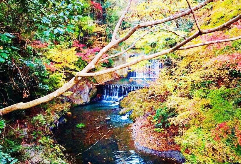 Vanguard Backpackers   Hostel