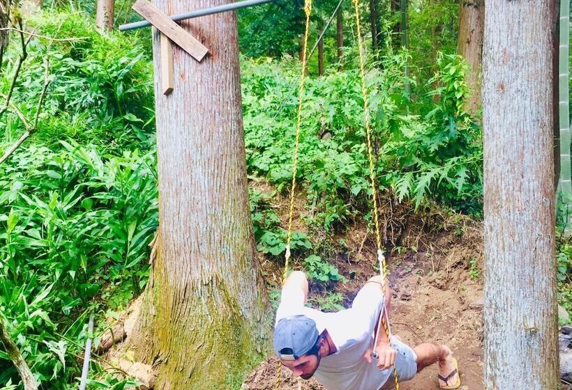 Vanguard Backpackers   Hostel