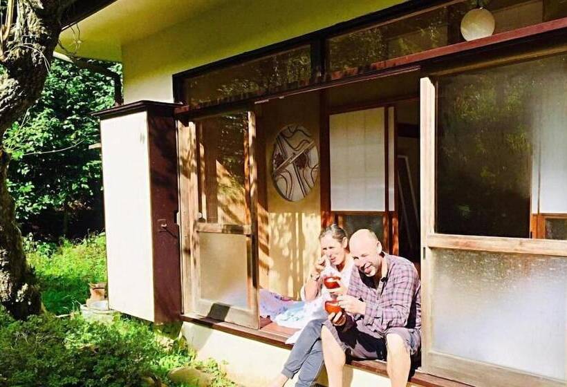 Vanguard Backpackers   Hostel