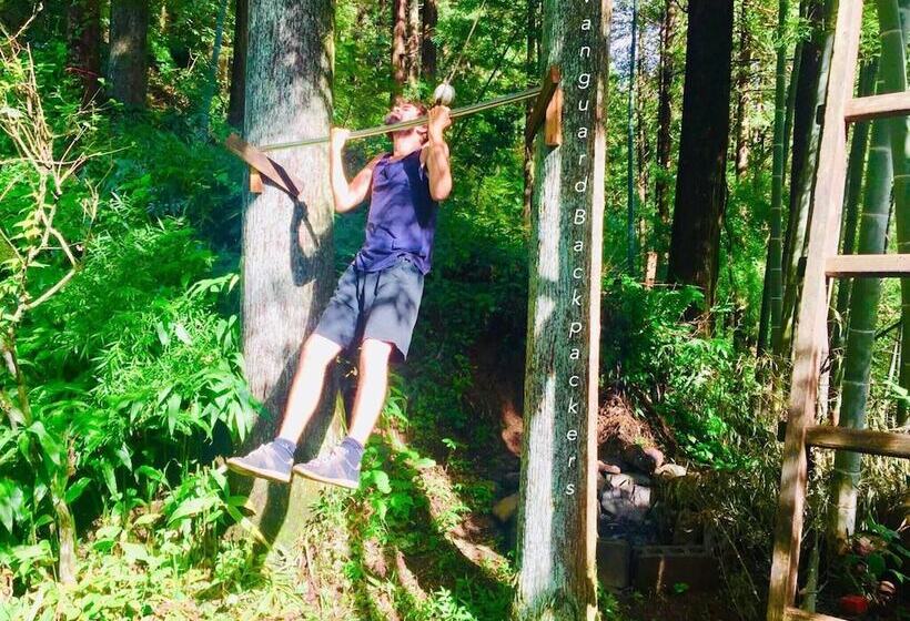 Vanguard Backpackers   Hostel