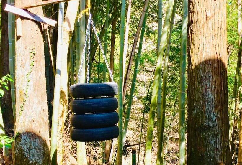 Vanguard Backpackers   Hostel