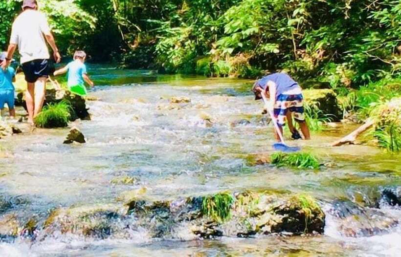 Vanguard Backpackers   Hostel