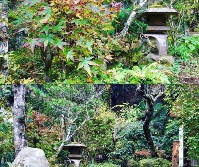 Vanguard Backpackers   Hostel