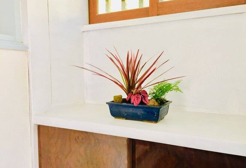 Vanguard Backpackers   Hostel