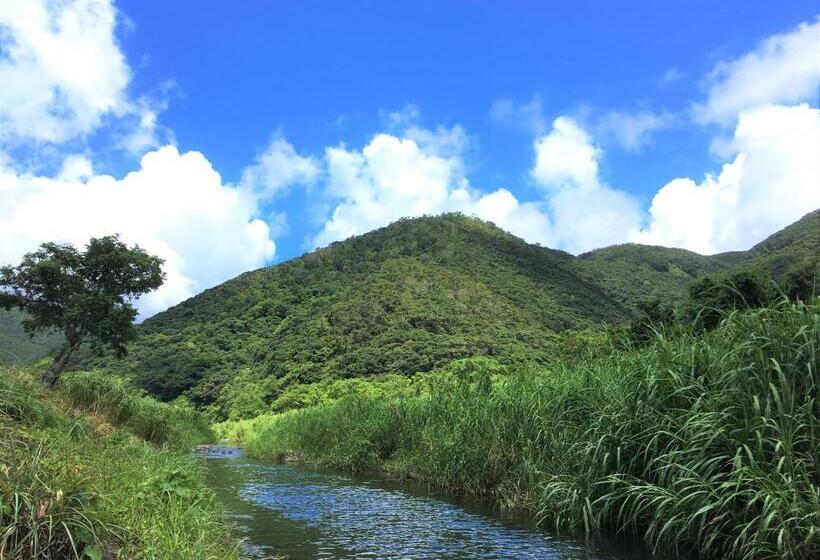 Cămin 奄美ゲストハウス Hub A Nice Inn