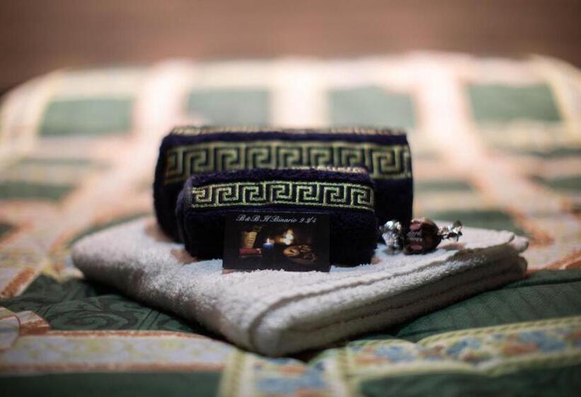 צימר Binario 9 3/4