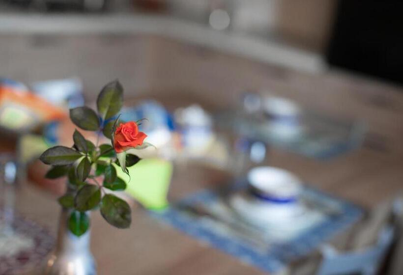 צימר Binario 9 3/4